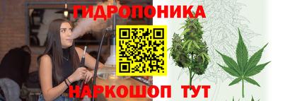 хмурый Будённовск