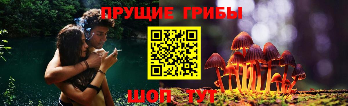 Псилоцибиновые грибы прущие грибы  Вход с VPN  Саров  Галлюциногенные грибы Psilocybe 
